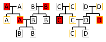 Figure 3: Sex chromosomes in a fictional population. The black outline indicates Y chromosome whereas the yellow indicates mitochondrial DNA. Red squares indicate extinct lineages at this particular point (Authors own).